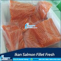 Gambar Salmon Fillet Whole 1Kg / Salmon Fillet Fresh - 1 kg dari Kampung Udang undefined 2 Tokopedia