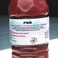 Gambar BAKTERI FOTOSINTESIS PSB PUPUK DAUN ORGANIK PHOTOSYNTHETIC BACTERIA dari abimanyu.0 undefined 1 Tokopedia