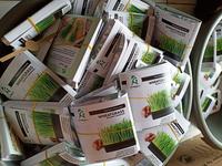 Gambar PAKET MICROGREEN WHEATGRASS LENGKAP GARDENINGRAT (Rumput Gandum) dari GardeNingrat undefined 4 Tokopedia