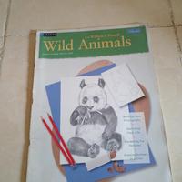Gambar Drawing Wild Animals Learn to draw step by step h dari sinar book store undefined 1 Tokopedia