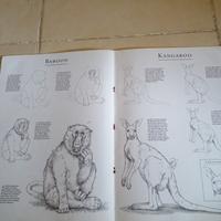 Gambar Drawing Wild Animals Learn to draw step by step h dari sinar book store undefined 3 Tokopedia