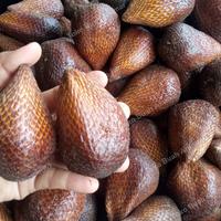 Gambar buah salak dari Toko Buah Ammar undefined 1 Tokopedia