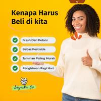 Gambar Ikan Mujaer Segar 1 ekor dari Sayurku Co undefined 4 Tokopedia