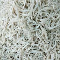 Gambar Ikan Teri Nasi Medan 500g dari Sembilan Dua_NEW undefined 1 Tokopedia