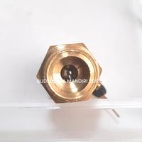 Gambar Safety Valve Setrika Uap 3/8" - Safety Valve Boiler 3/8 inch - Wipro dari Budi Usaha Mandiri Tools undefined 3 Tokopedia