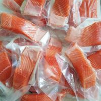 Gambar salmon fillet trout norway dari airwalkshop undefined 1 Tokopedia