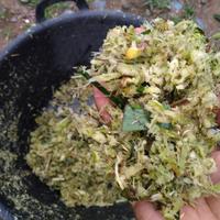 Gambar Mesin Pencacah Rumput Gajah Rumput Odot Pakan Ternak Sapi Kambing Kuda dari Kebun Kelinci Industri undefined 3 Tokopedia