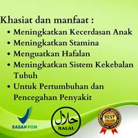 Gambar Madu Anak Plus Kharisma Herbal Vitamin Gemuk Badan Anak Anti Biotik dari Onixs Kurnia undefined 2 Tokopedia