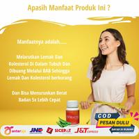 Gambar Obat Pengurus Badan Cepat Pria Wanita dari PT Indoherbal undefined 2 Tokopedia