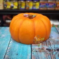 Gambar Hiding Cave Pumpkin Rumah Torto Sulcata Pardalis Istar Ular Kadal dari Kanaka Torto undefined 4 Tokopedia