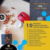 Gambar Royal Nigpro 200 Kapsul Obat Tekanan Darah Tinggi with Propolis Bekasi - 100 Kapsul dari Indah Dian Shop undefined 2 Tokopedia