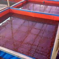 Gambar terpal kolam ikan 2m x 6m t 1m dari terpal murah undefined 4 Tokopedia