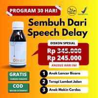 Gambar Obrain Obat Speech Delay Anak Terlambat Bicara Ampuh Berkhasiat dari Obrain Official undefined 1 Tokopedia