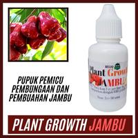 Gambar Pupuk Jambu Air Agar Bunga Tidak Rontok, Plant Growth Jambu Terbaik dari Prima Lestari Store undefined 1 Tokopedia