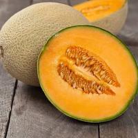 Gambar Bibit Unggul Melon Cantelope Jepang | Benih Melon Japanese Cantaloupe dari julieshoponline undefined 3 Tokopedia