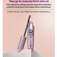 Gambar ETUDE HOUSE Lash Perm Volume Fix Mascara - #03 Brown dari Pink Me Shop undefined 5 Tokopedia
