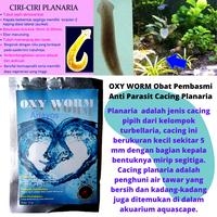 Gambar OXY WORM Obat Pembasmi Anti Parasit Cacing Planaria Aquarium Aquascape dari anayos undefined 2 Tokopedia