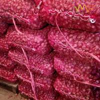Gambar Bawang Merah Super Brebes 1kg dari Martois undefined 5 Tokopedia