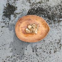 Gambar Kerang Kampak kupas 1kg dari Intibaharilestari undefined 3 Tokopedia