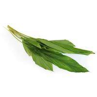 Gambar Daun Kunyit dari Nyonya Sayur undefined 1 Tokopedia