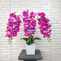 Gambar Bunga Hias Anggrek Bulan X3 Tangkai Juntai Latex Artificial Vas Kayu dari duniapohonplastik undefined 2 Tokopedia