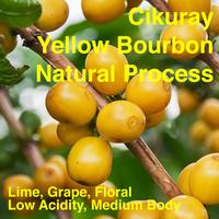Gambar Kopi Arabika Garut Cikuray Yellow Bourbon Natural 250gr Papandayan - Biji Utuh dari kopidopi undefined 2 Tokopedia