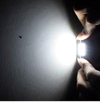 Gambar LAMPU PLAFON KABIN MOBIL 6 LED PUTIH UNIVERSAL 31MM&36MM SUPER BRIGHT - 31 MM dari GK Automotif Shop undefined 4 Tokopedia