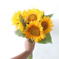 Gambar SUNFLOWER BOUQUET BUKET BUNGA MATAHARI Buket Valentine Bali dari Giogio Sisters undefined 3 Tokopedia