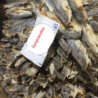 Gambar Ikan Asin Mayung Ikan Jahan Asli Medan 250 gr dari Sangtuacoffee undefined 3 Tokopedia