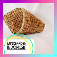 Gambar POT ANGGREK SABUT KELAPA MODEL KEONG serabut kelapa kerucut pot tanama dari Minigarden Indonesia undefined 3 Tokopedia