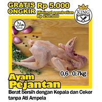 Gambar Ayam Pejantan 0.6 - 0.7 kg dari King Chopper undefined 1 Tokopedia