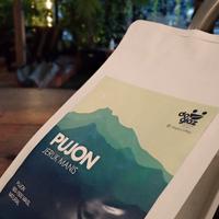 Gambar Kopi Arabika Single Origin Pujon 200 gr dari Djikupi undefined 2 Tokopedia