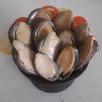 Gambar abalone fresh / frozen dari Lucky Seafood undefined 3 Tokopedia