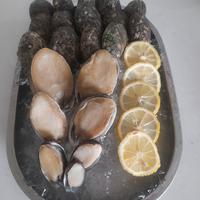 Gambar abalone fresh / frozen dari Lucky Seafood undefined 5 Tokopedia