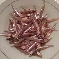 Gambar ikan teri basah 500gr dari Samudrapasar undefined 1 Tokopedia