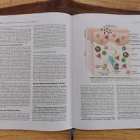 Gambar [Full Color /BW] Cellular and Molecular Immunology - Isi Hitam Putih dari Merrys Medical Book Shop undefined 4 Tokopedia