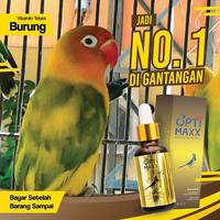 Gambar OPTIMAXX GACOR - VITAMIN BURUNG JUARA LOMBA ANDALAN JAWARA KICAU MANIA dari GizidatJakarta undefined 3 Tokopedia