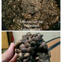 Gambar Kopi Luak liar Sangrai, Souvenir, Cendera Mata, Oleh-Oleh, Pengharum/Pewangi Ruangan,Bisa untuk Diet, Pelancaran Pencernaan, Minuman Menyehatkan. Robusta Coffee Bubuk Susu Luwak - Biji Utuh, 1 Kg dari Fatherscoffee undefined 5 Tokopedia