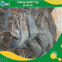 Gambar Udang Galah Segar Fresh 1 kg isi 10-15 ekor Tidak Hidup dari O Fresh Mart undefined 1 Tokopedia