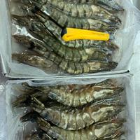 Gambar udang tiger/windu/pacet dari Omah Kepiting Bunda undefined 1 Tokopedia