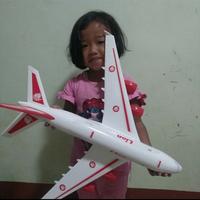 Gambar Mainan pesawat terbang garuda lion air besar dari D''TOYS undefined 2 Tokopedia