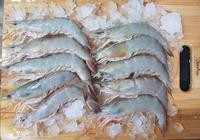 Gambar Udang Dogol Uk.30-35 / Udang Pink / Pink Shrimp dari RILSeafood undefined 2 Tokopedia