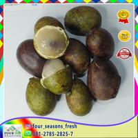 Gambar BUAH MATOA 2 KG DAGING EMPUK MANIS PASTI NAMBAH LAGI dari FOUR SEASONS FRESH undefined 1 Tokopedia