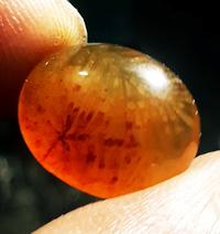 Gambar Natural batu akik Lipan merah kelabang merah super kristal size kantor dari chandrayadi Gemstone undefined 1 Tokopedia