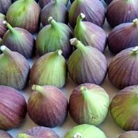 Gambar buah tin fresh organik 200 gr dari ageung fresh undefined 1 Tokopedia