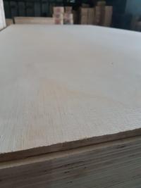 Gambar Triplek Sengon (Albasia) 5 mm dari HPL MULTINDO MAKMUR undefined 1 Tokopedia