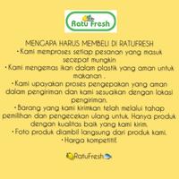 Gambar IKAN KEMBUNG BANJAR - 6-8ekor dari RatuFresh undefined 4 Tokopedia