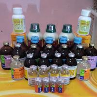 Gambar Intracin-10s 5 ml obat pemacu kontraksi hewan melahirkan & lancar ASI. dari Berkah Rabbit Wonk undefined 2 Tokopedia