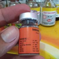 Gambar Intracin-10s 5 ml obat pemacu kontraksi hewan melahirkan & lancar ASI. dari Berkah Rabbit Wonk undefined 3 Tokopedia