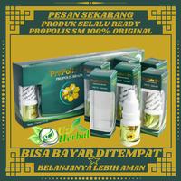 Gambar Propolis SM Obat Laringitis, Radang Pita Suara, Pita Suara Bengkak dari Uzi-Herbal undefined 2 Tokopedia